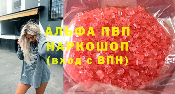 гашик Тутаев