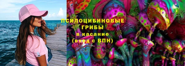 мдпв Анжеро-Судженск