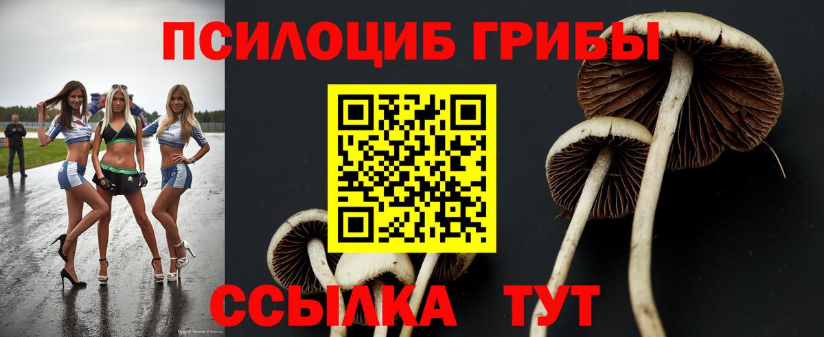 Галлюциногенные грибы мухоморы Балтийск