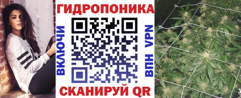 наркотики  Балтийск  Бошки марихуана гибрид 
