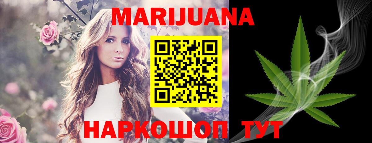 Бошки марихуана планчик  Вход с VPN  Балтийск  Бошки марихуана Bruce Banner  Шишки марихуана марихуана 